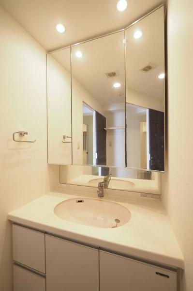 レーヴステージ河辺　2階 洗面化粧台