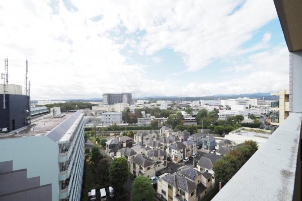 ヴェレーナ青梅新町　11階 眺望