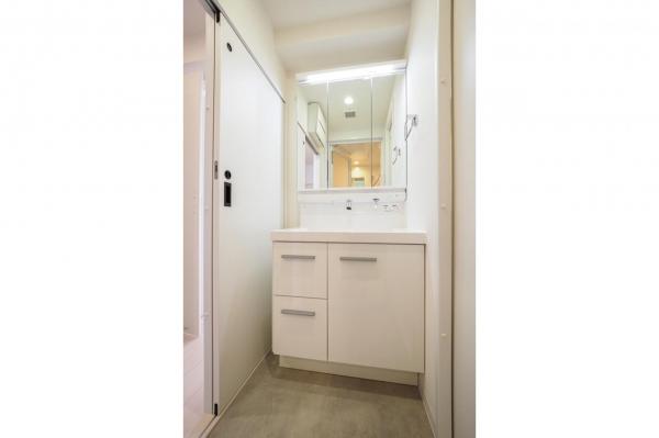 セザール坂戸　5階 洗面化粧台