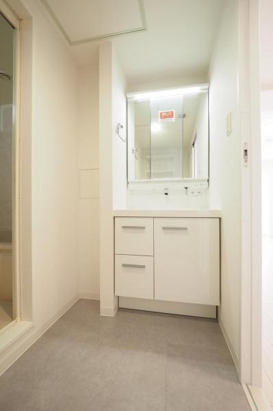 【115平米超の大型ルーフバルコニー付】サンハイツ河辺パートII　6階 脱衣所