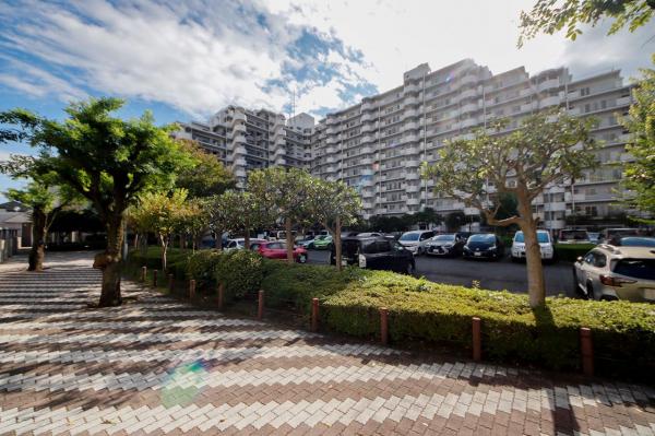 コスモ志木　12階 外観写真