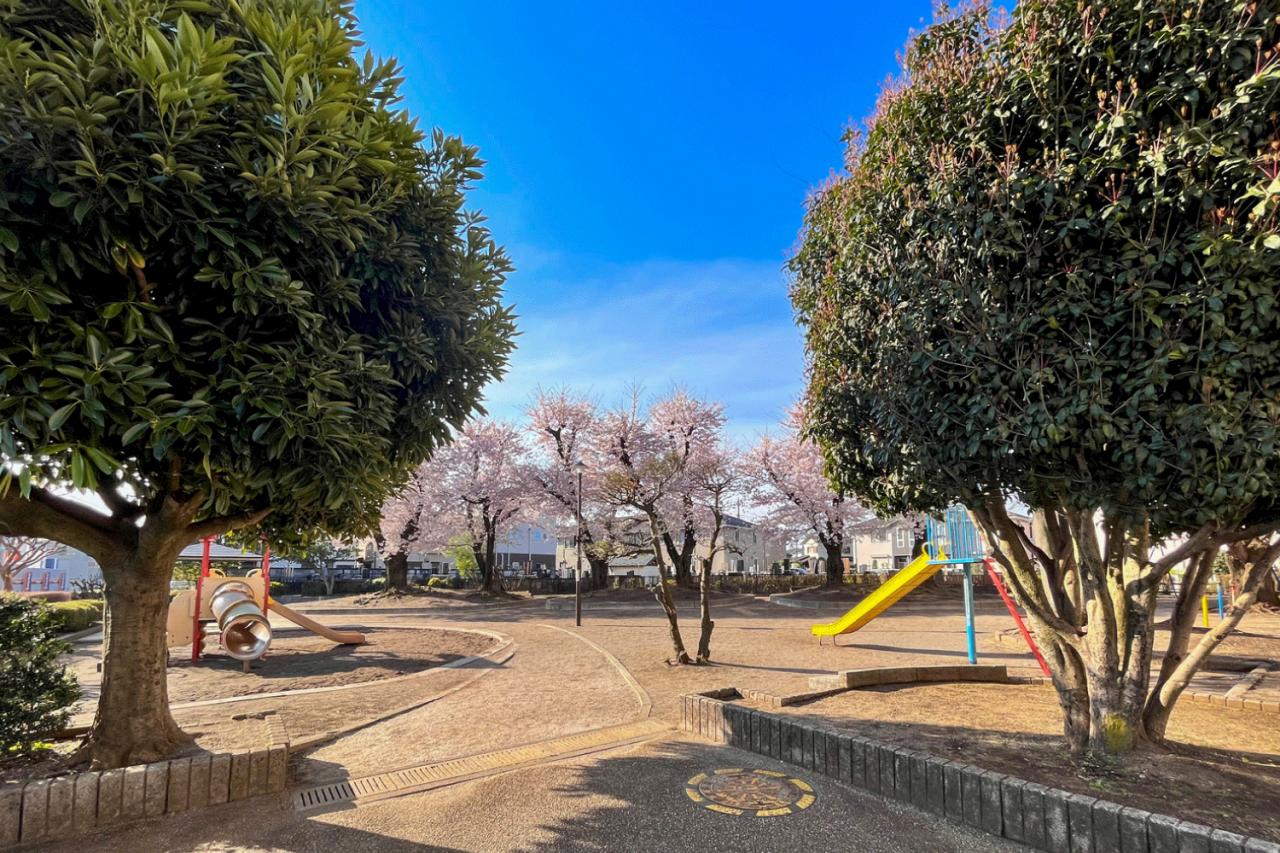 さくら公園