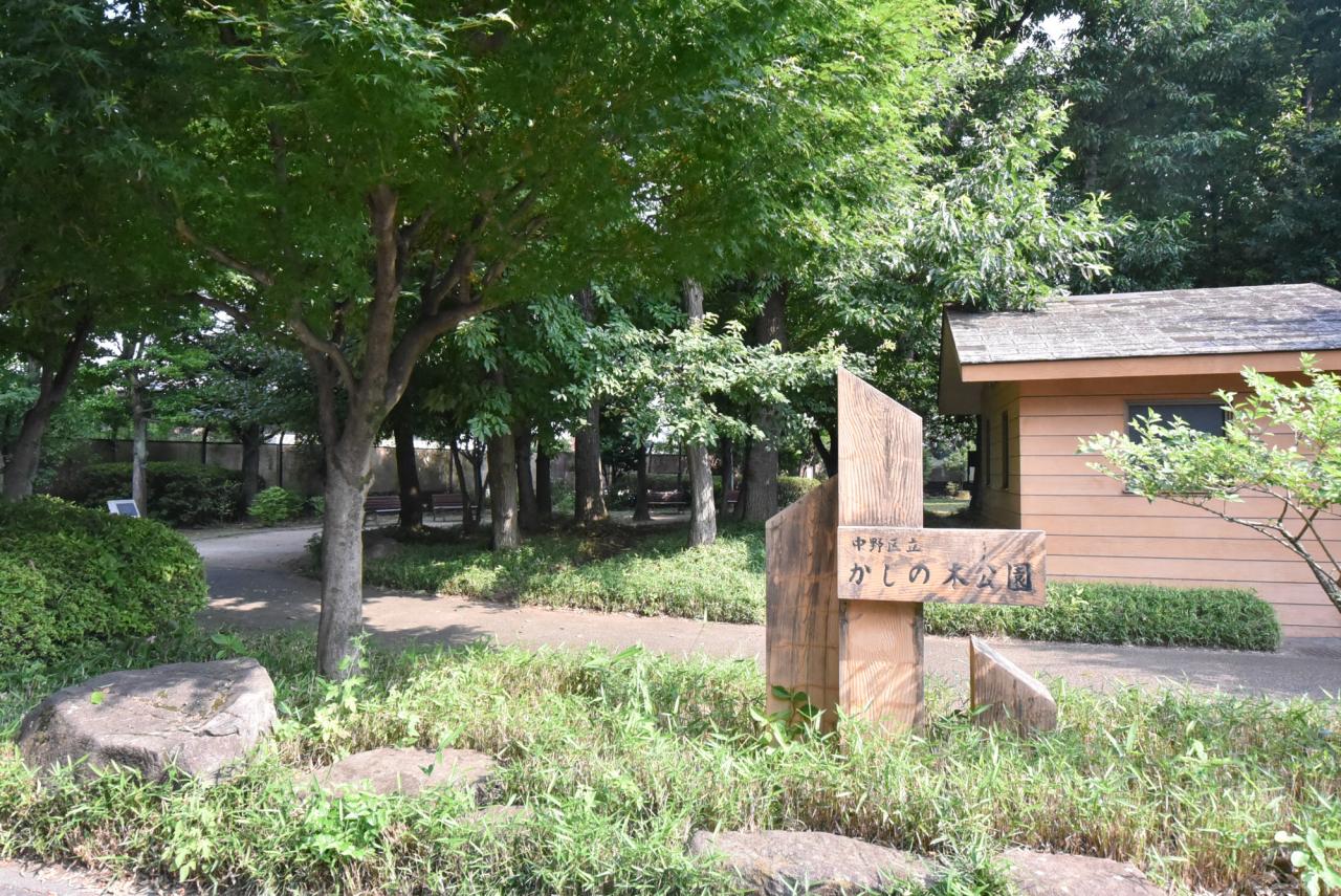 中野区立かしの木公園