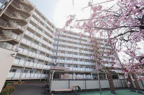 中古マンション 所沢市若松町 西武新宿線航空公園駅 1,980万円