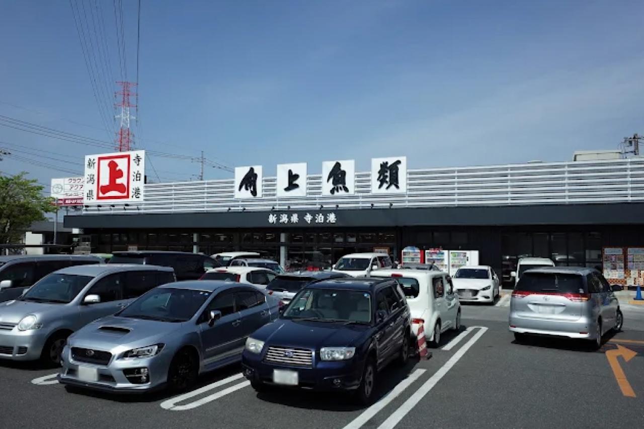 角上魚類 川口店