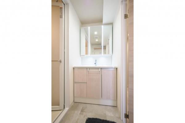 ダイアパレス坂戸　2階 洗面化粧台