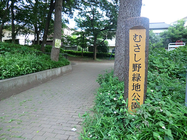 むさし野緑地公園