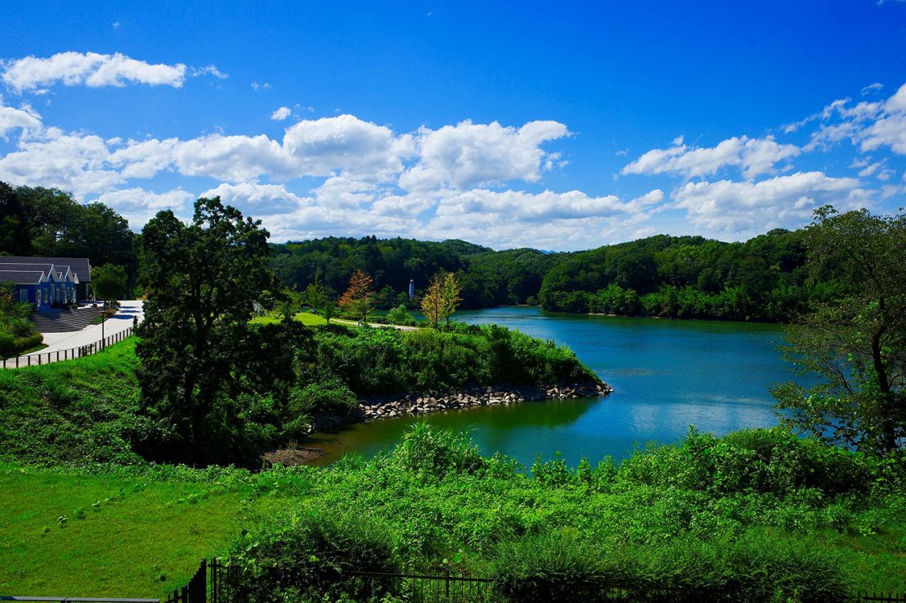 メッツァビレッジ