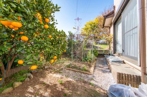 【住協だけのお預かり物件】狭山市大字水野　中古一戸建て 庭