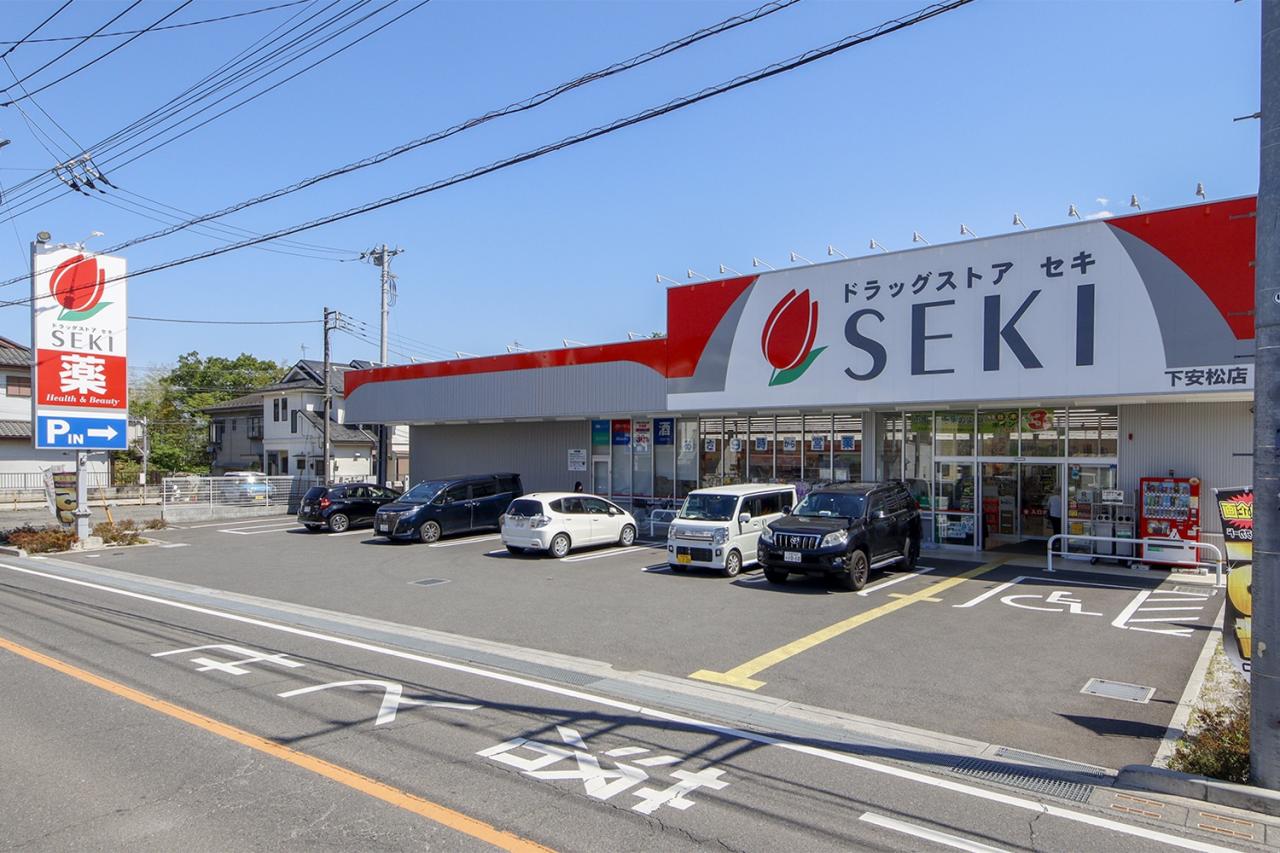 ドラッグストアセキ下安松店