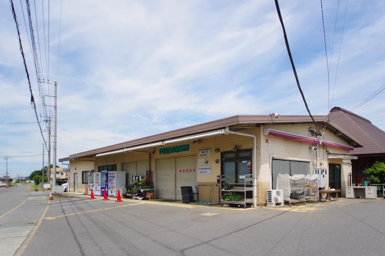 伊佐沼農産物直売所