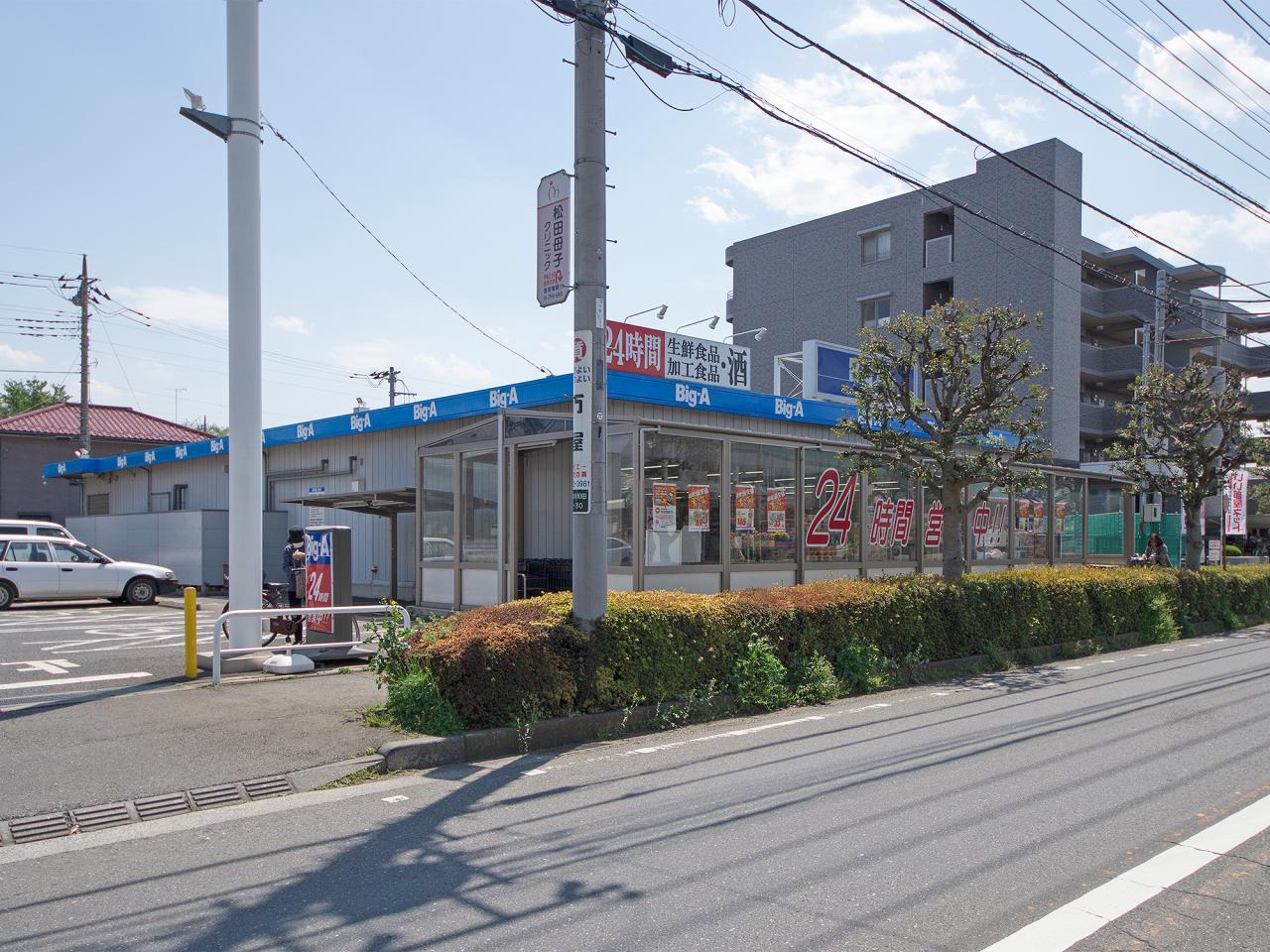 ビッグ・エー 東所沢店