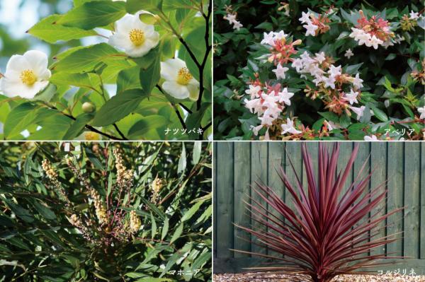 【予告広告】Musubi Villege～心と街を結ぶ分譲地～ 完成予想図（外観）