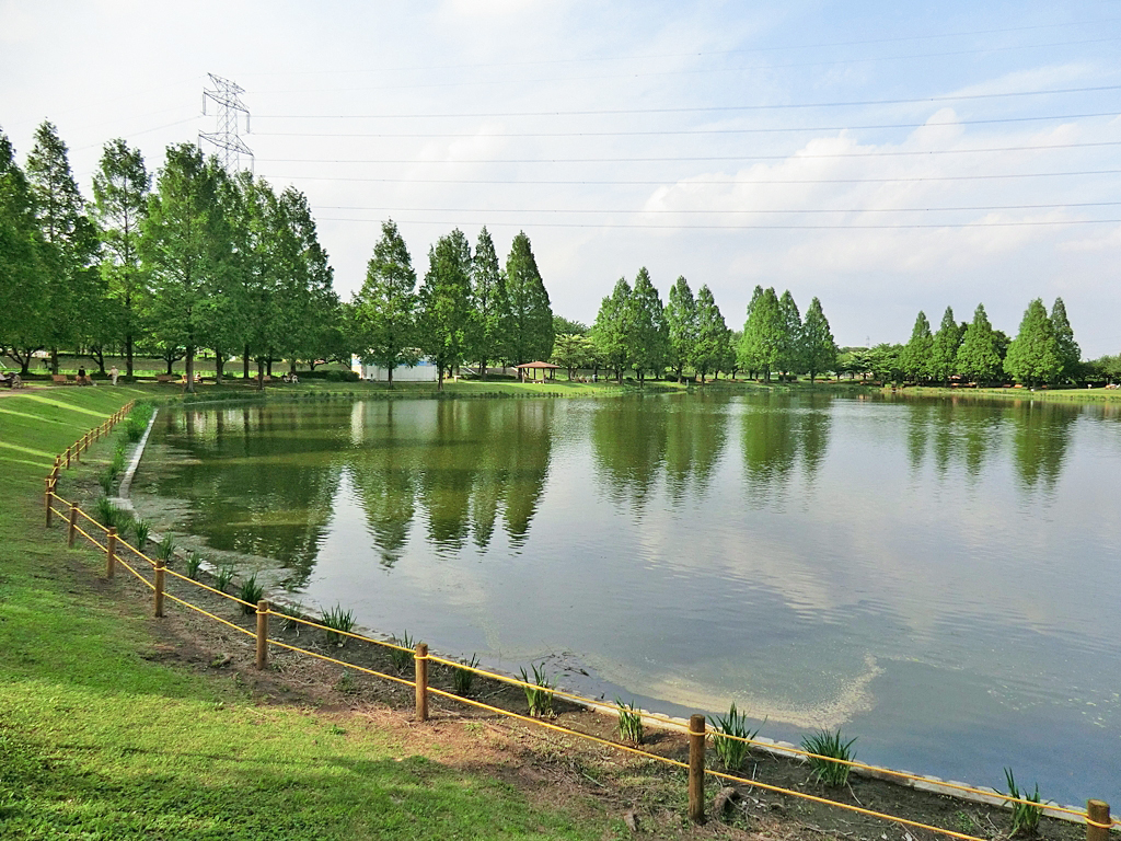 川越水上公園
