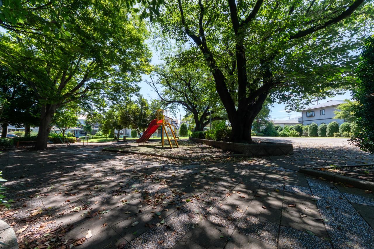 扇西ふじ棚公園