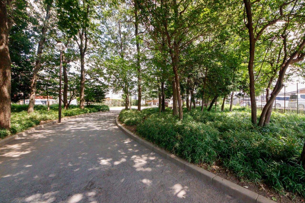 若狭いこいの森公園