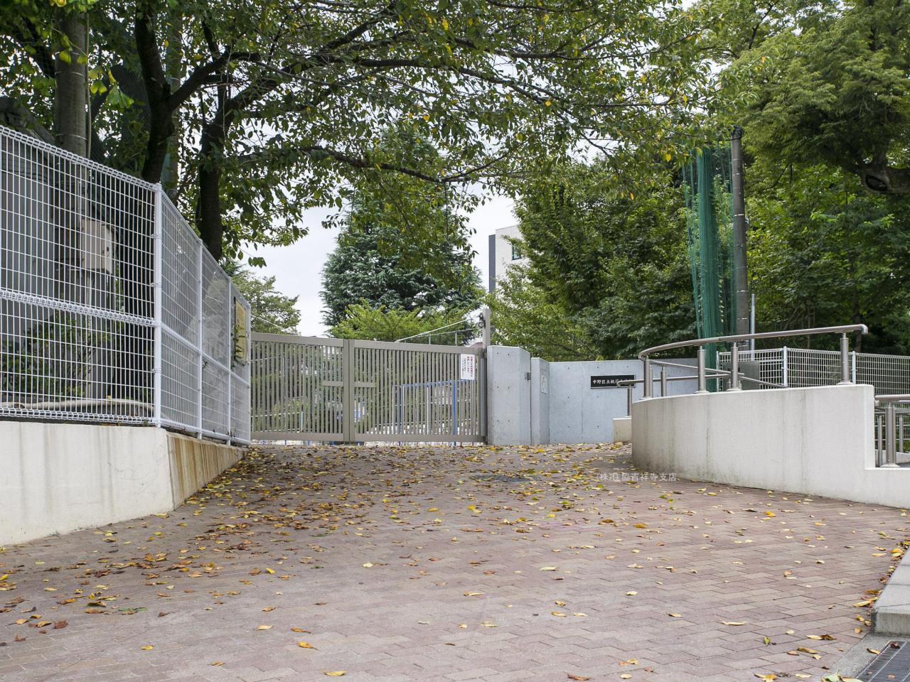 中野区立桃花小学校