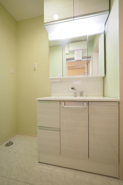 西東京市保谷町5丁目　新築一戸建て 脱衣所