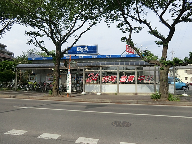ビッグ・エー 大井亀久保店