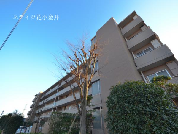 中古マンション 小平市花小金井２丁目 西武新宿線花小金井駅 3,748万円