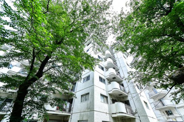 中古マンション 練馬区関町南４丁目 西武新宿線武蔵関駅 3,790万円