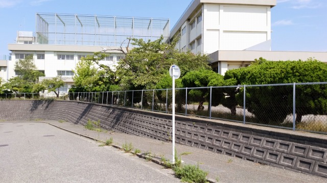 土地 新潟市西区上新栄町６丁目 JR越後線寺尾駅 790万円