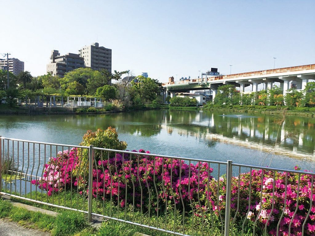 桃ケ池公園