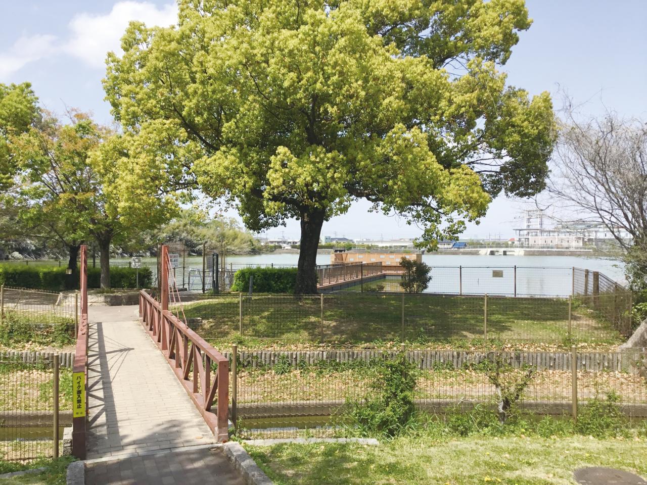 舟渡池公園