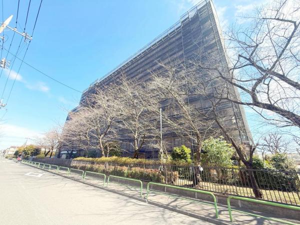 中古マンション 板橋区坂下３丁目 都営三田線蓮根駅 3,790万円