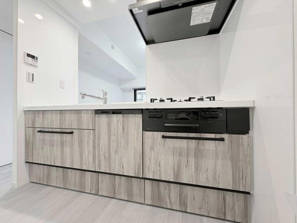 ドラゴンマンション橋本伍番館 キッチン