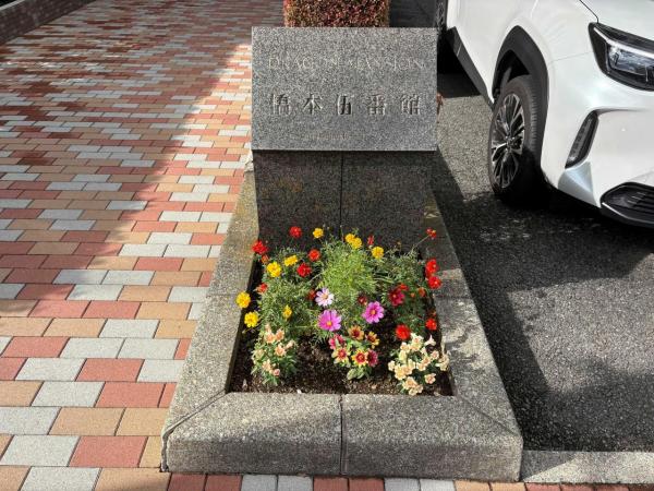 ドラゴンマンション橋本伍番館 現況写真