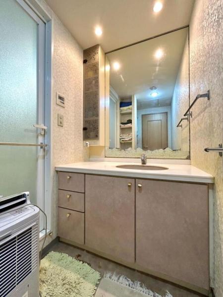 ヴィラージュ・ヴェール七番館 洗面化粧台