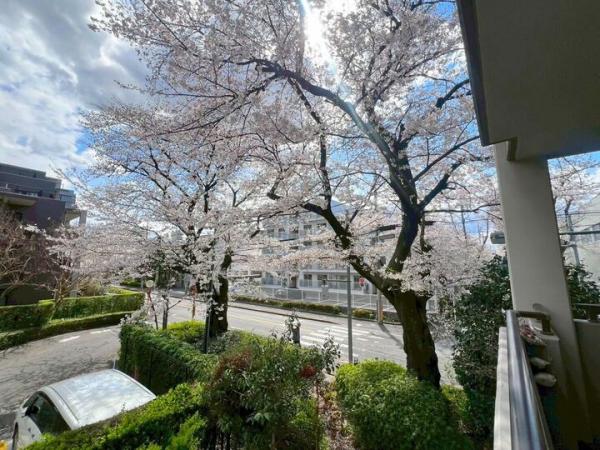 ヴィラージュ・ヴェール七番館 眺望