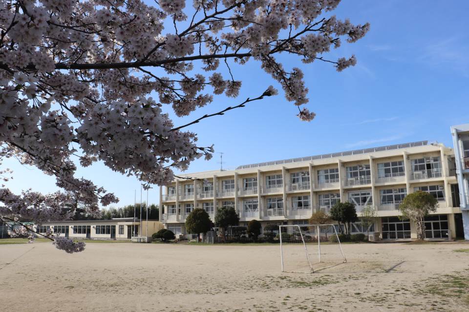 千葉県木更津市真里谷 古家付き 売地 その他