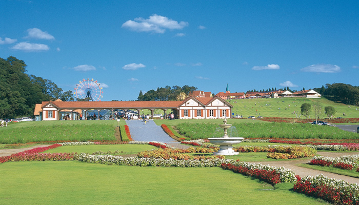 千葉県木更津市真里谷 古家付き 売地 その他