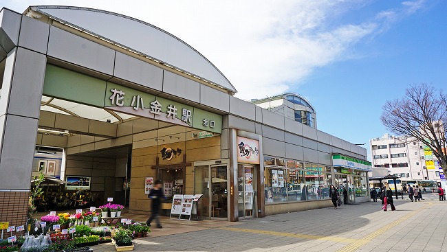 ライオンズプラザ花小金井 路線図