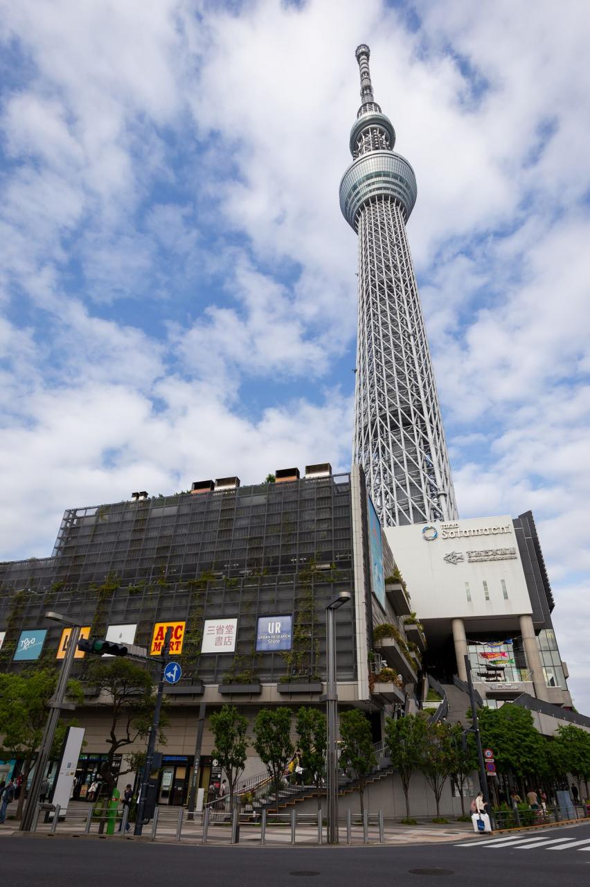 台東区橋場　中古戸建 トイレ