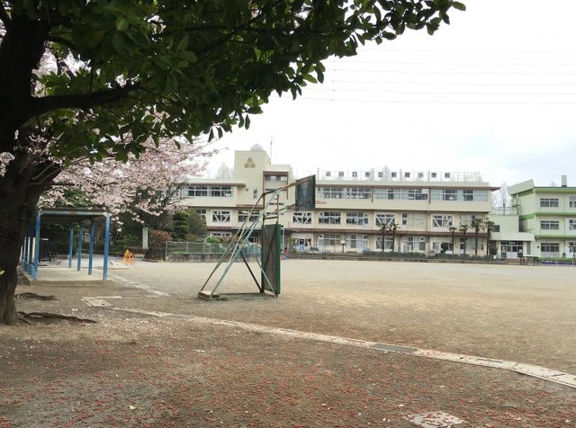 コスモ川口イーストヒルズ その他