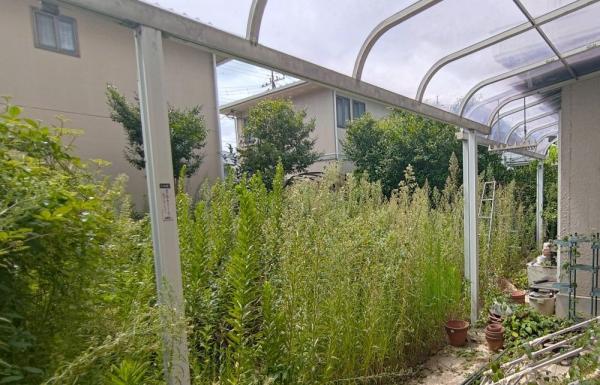 三郷市早稲田　中古戸建 庭