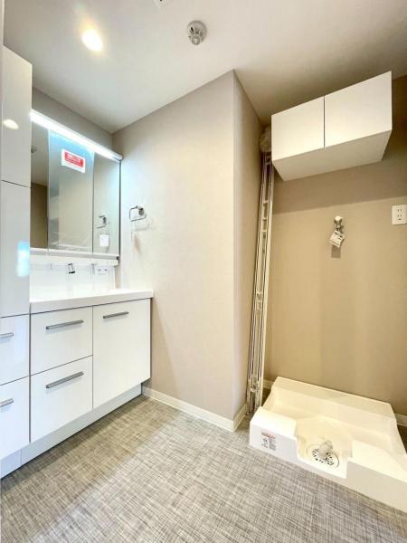 国分寺ビューハイツ 洗面化粧台