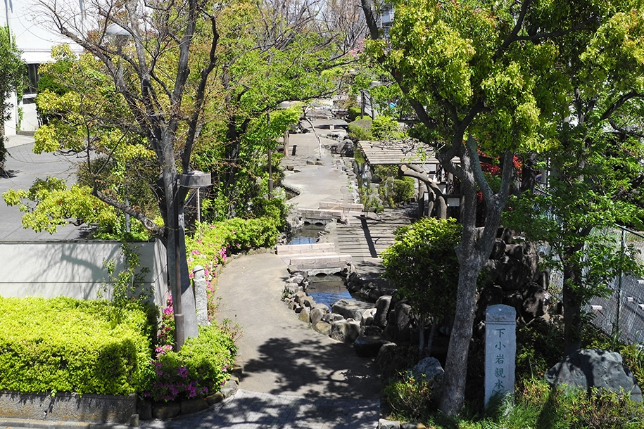 南小岩5丁目　土地 区画図