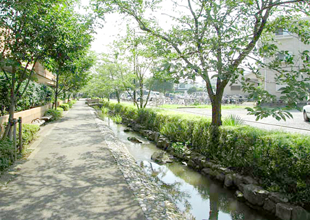 東小岩1丁目新築住宅【全12棟】 間取り図