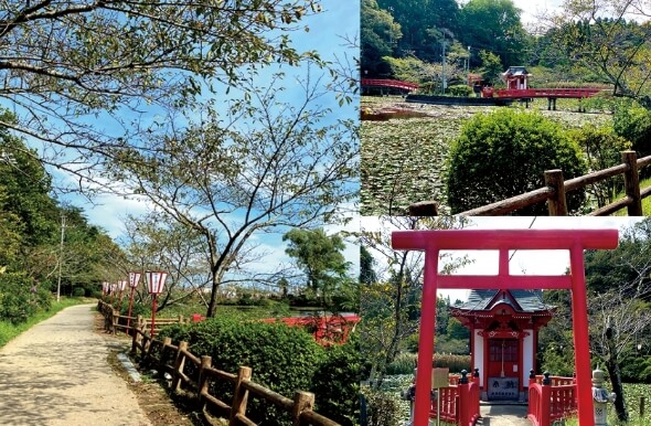 Palm Terrace Villa OHANA 交通アクセス図