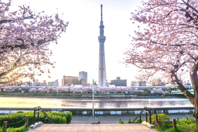 台東区橋場1丁目　中古戸建 浴室