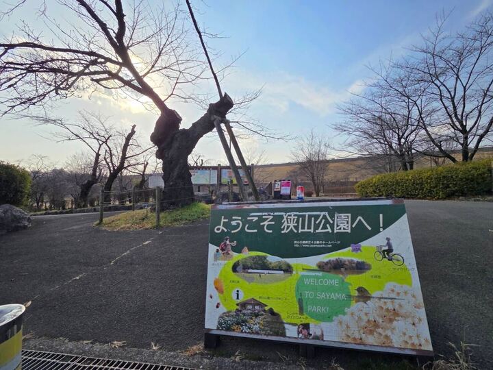 東村山市廻田町2丁目の戸建 洋室