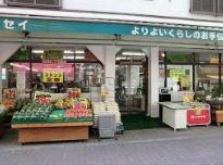 東新小岩8丁目　中古戸建 前面道路含む現地写真