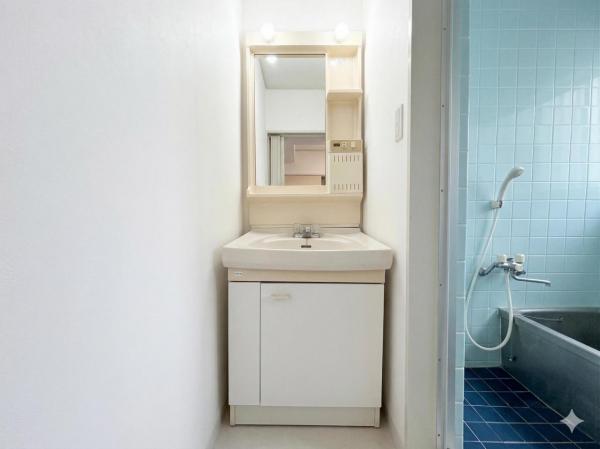 豊島区高松2丁目 中古戸建 洗面化粧台