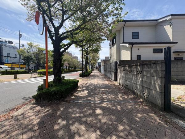 葛飾区お花茶屋2丁目 売地 【全2区画】 前面道路含む現地写真