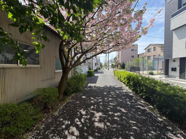 葛飾区お花茶屋2丁目 売地 【全2区画】 前面道路含む現地写真