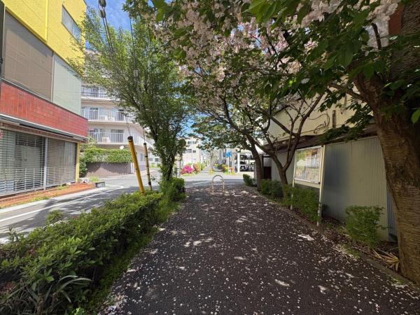 葛飾区お花茶屋2丁目 売地 【全2区画】 前面道路含む現地写真